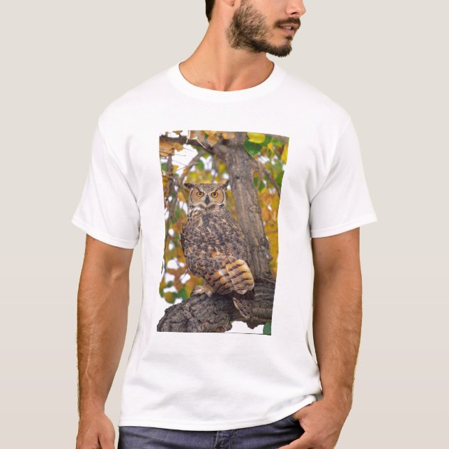 Camiseta Búho Americano (Anverso)
