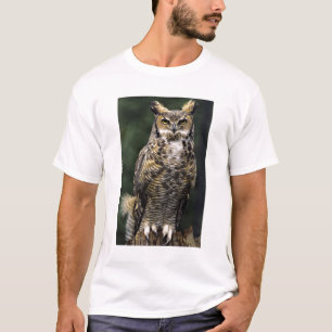 Camiseta Búho Americano (Bubo virginianus), cuerpo completo