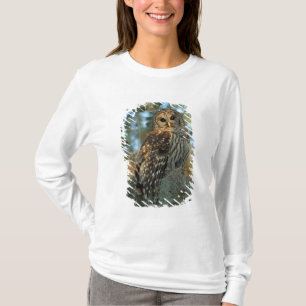 Camiseta Búho barrado en reposo en algún musgo español