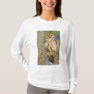 Camiseta Búho barrado (Strix varia) posado en un ciprés