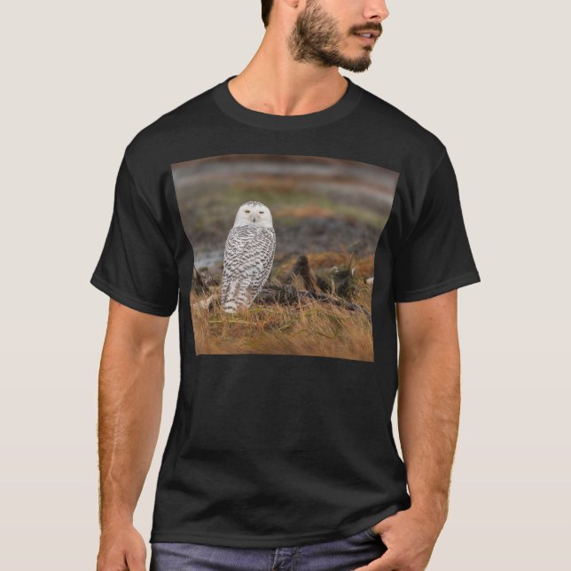 Camiseta Búho Nevado en un registro (Anverso)