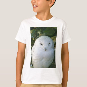 Camiseta Búho nival