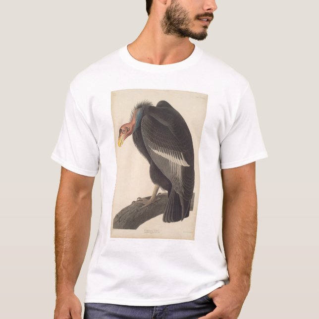 Camiseta Buitre de Audubon California (2609A) (Anverso)