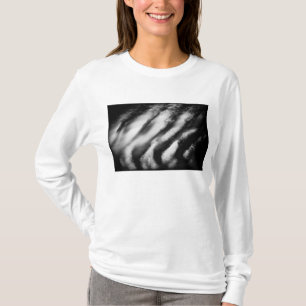 Camiseta buitres caídos