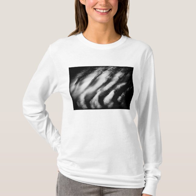 Camiseta buitres caídos (Anverso)
