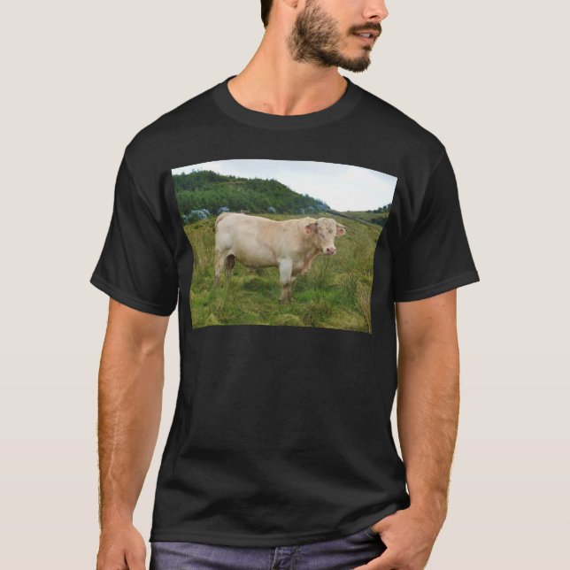 Camiseta Bull (Anverso)