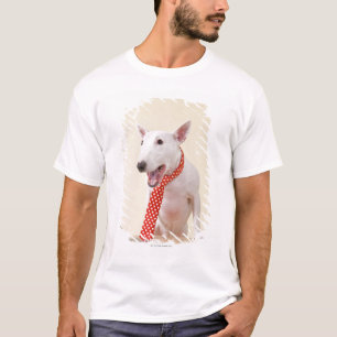 Camiseta Bull terrier miniatura que mira el ordenador