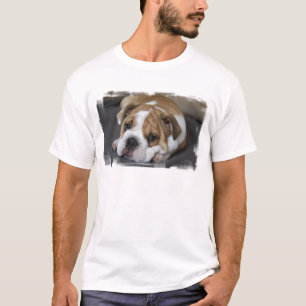 Camiseta bulldog-26.jpg