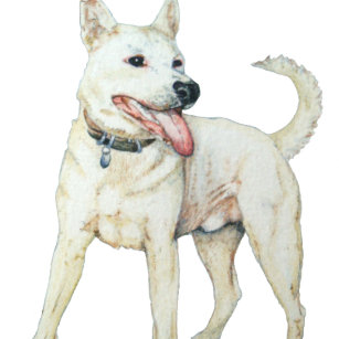 Camiseta Bulldog blanco americano jadeando perro
