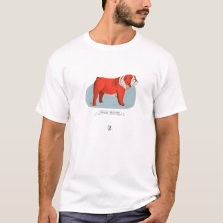 Camiseta Bulldog inglés - Dibujo británico de Bulldog curad