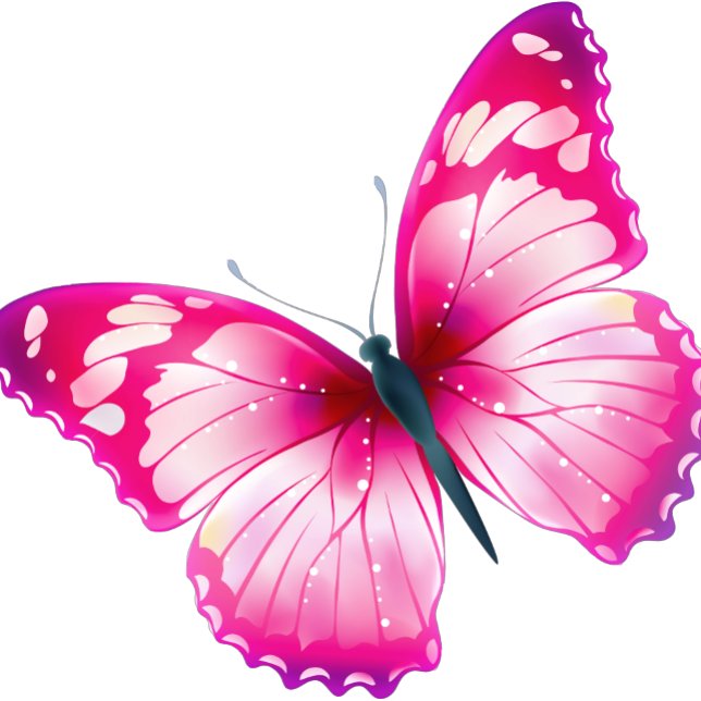Camiseta Butterflie (Subido por el creador)