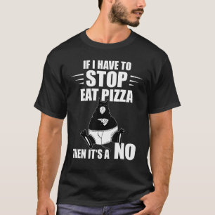 Camiseta C:\Users\Administrator\Downloads\CAT 17\Gato de Pi