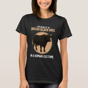 Camiseta C:\Usuarios\Administrador\Descargas\CAT 2\Welsh Bl