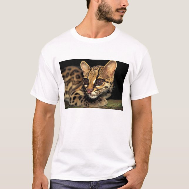 Camiseta CA, Panamá Central, Parque Nacional Soberanía, Mar (Anverso)
