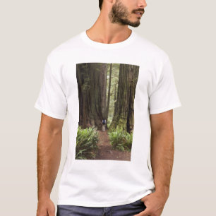 Camiseta CA, Parque Estatal de Redwoods Jedediah Smith,