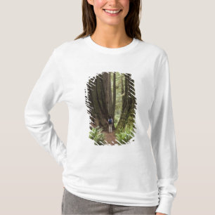 Camiseta CA, Parque Estatal de Redwoods Jedediah Smith,