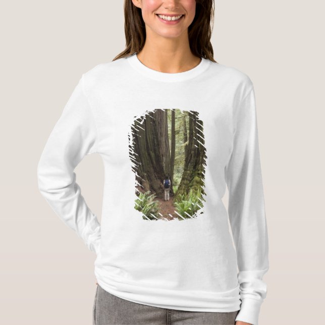 Camiseta CA, Parque Estatal de Redwoods Jedediah Smith, (Anverso)