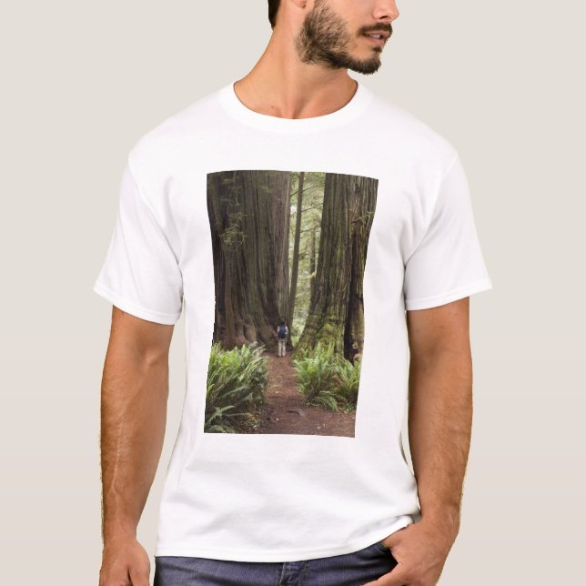 Camiseta CA, Parque Estatal Jedediah Smith Redwood, (Anverso)