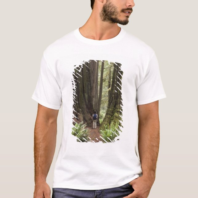 Camiseta CA, Parque Estatal Jedediah Smith Redwood, (Anverso)