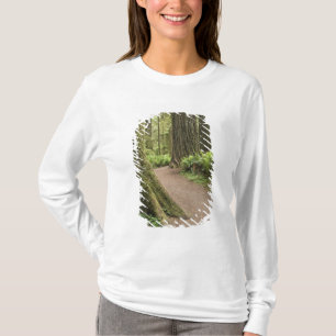 Camiseta CA, Parque Estatal Jedediah Smith, Simpson-Reed