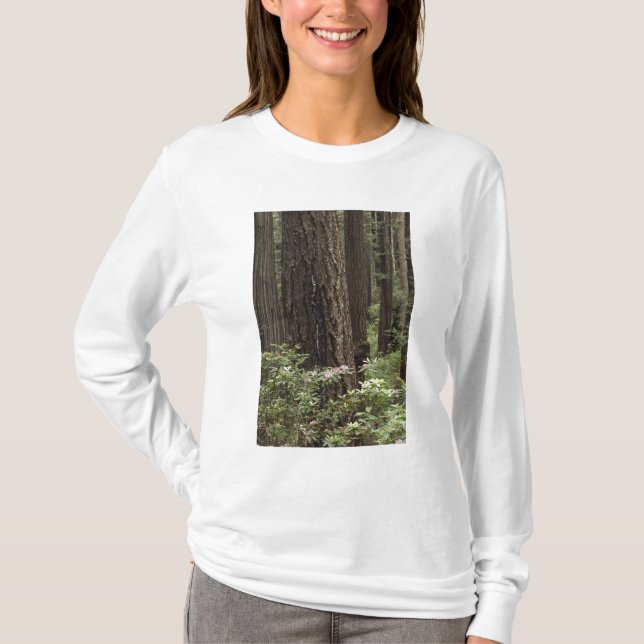 Camiseta CA, Parque Estatal Prairie Creek, Costa (Anverso)