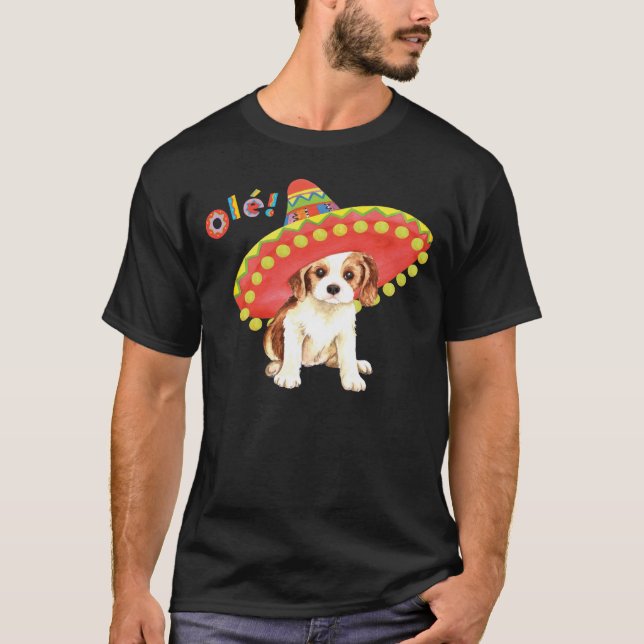 Camiseta Caballeros de la fiesta (Anverso)