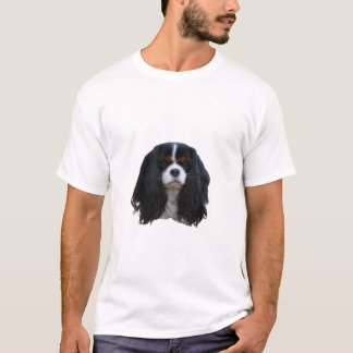 Camiseta Caballeros tricolores