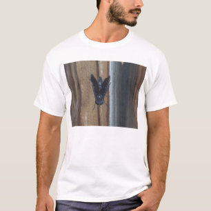 Camiseta Caballo