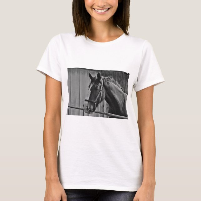 Camiseta Caballo blanco negro - Arte fotográfico animal (Anverso)