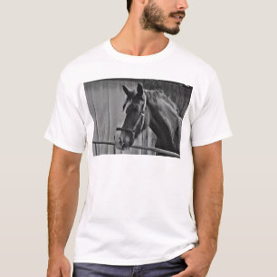 Camiseta Caballo blanco negro - Arte fotográfico animal
