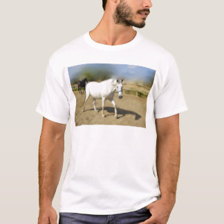 CAMISETA CABALLO BLANCO PINTADO