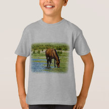 Caballo de Bahía