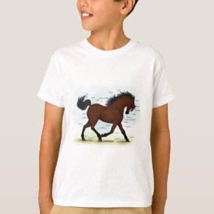 Camiseta Caballo de Bahía con gráfico anatómico educativo l