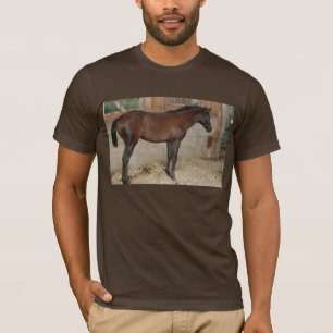 Camiseta Caballo de granero/Pony