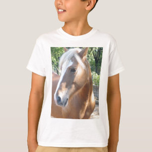 Camiseta Caballo de Haflinger