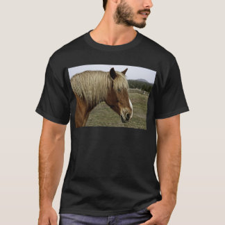 Camiseta Caballo de oro