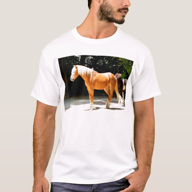Camiseta Caballo de Palomino (Anverso)