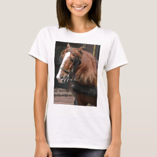 Camiseta Caballo de proyecto