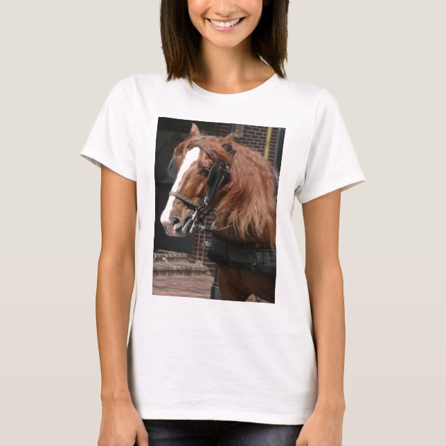 Camiseta Caballo de proyecto (Anverso)
