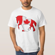 Caballo de proyecto canadiense de la bandera