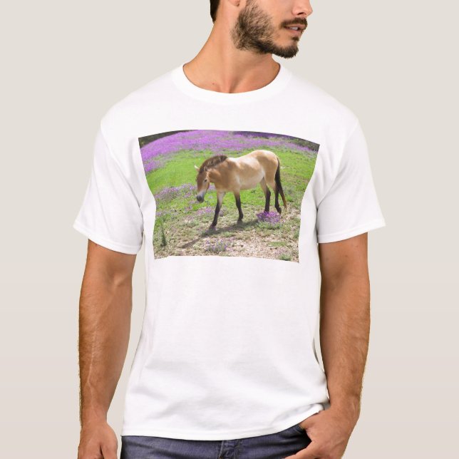 Camiseta Caballo de Przewalski (Anverso)