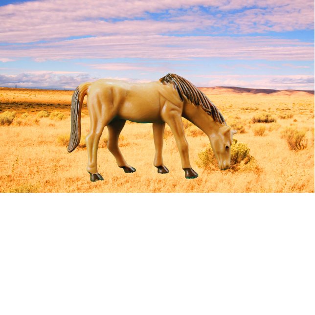 Camiseta Caballo en la pastura (Subido por el creador)