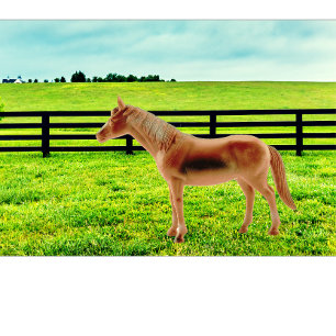 Camiseta Caballo en la pastura