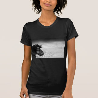 Camiseta Caballo islandés en desierto del invierno