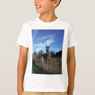 Camiseta Caballo marrón de chocolate lechoso en azul