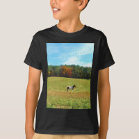 Caballo marrón y blanco, árboles de otoño, cielo a
