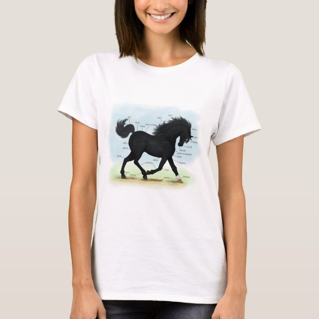 Camiseta Caballo negro con gráfico de anatomía de estrella  (Anverso)