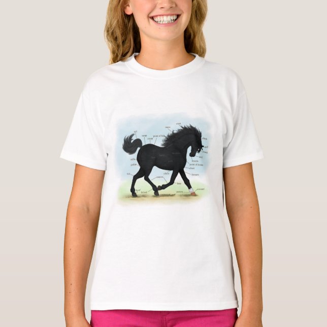 Camiseta Caballo negro con gráfico de anatomía de estrella  (Anverso)