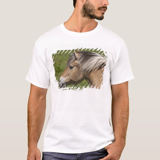 Camiseta Caballo noruego del fiordo (Anverso)