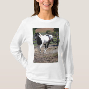 Camiseta Caballo/Pinto Pinto
